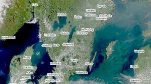 Kraftig algblomning i stora delar av östersjön. Algblomning Och Avlopp 2021 Karta Och Info Om Din Badplats