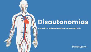 Los dos receptores que median los efectos de la cck son ccka y cckb. Disautonomias Definicion Clasificacion Y Ejemplos