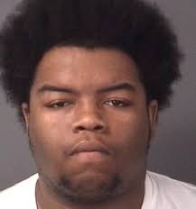 2013 homicide chart: Breakdown of 37 Trenton murder victims, four homicides  elsewhere in Mercer County