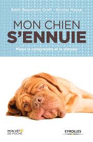 50 idées sympas à faire quand on s'ennuie. Amazon Fr Mon Chien S Ennuie Mieux Le Comprendre Et Le Stimuler Beaumont Graff Edith Massal Nicolas Livres
