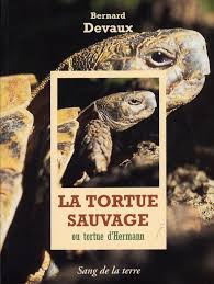 Tous les 4 ou 5 ans, lorsque le village de gonfaron arrive à saturation. Tortuesoptom