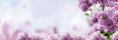 Dahlia flower is a flower which is very attractive. Flower Background Photos And Wallpaper For Free Download Page 8 Flower Background Images Purple Flower Background Flower Backgrounds