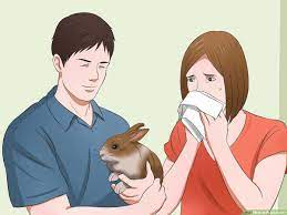 Petco (11) how to get it. How To Buy A Rabbit 14 Steps With Pictures Wikihow
