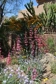 Find us on instagram ☀ @marigold_sf. Marigold Landscaping Houzz