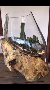 Agac Dizayn Adli Kullanicinin Cam Fanus Akvaryum Terrarium Panosundaki Pin Terrarium Akvaryum