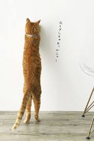 お悩み解決 猫の爪とぎ対策に ダイソーの100円ひっかき傷防止シートがおすすめ 窪田千紘フォトスタイリングwebマガジン klastyling 暮らす スタイリング 猫 子猫 猫 爪とぎ
