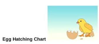 Free Chicken Egg Hatching Chart Choe Chicken Heaven On Earth
