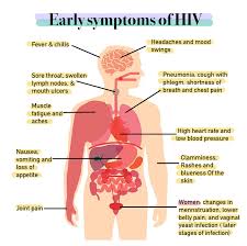 Cervical cancer is known as a silent killer because the symptoms don't usually show up until a later stage. Signs And Symptoms Of Hiv Aids Wikipedia