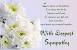 Comfort Condolence Message For Loss Of Father