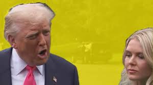 Republican Epstein File Blockers Previously Spoke Out Against Human  Trafficking