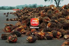 We did not find results for: Sime Darby Plantation Foreign Shareholding Drops To 9 33 Lowest In Three Years The Edge Markets