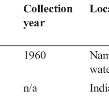 Image result for Chlorophytum zambiense