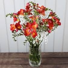 We did not find results for: Flowers By Post From 13 99 With Free Delivery Flowers By Post Free Next Day Uk Delivery