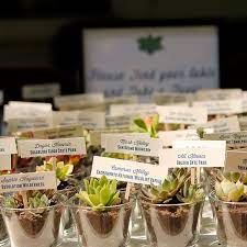 Wedding Favors Gift Ideas Plant Wedding Favors Succulent Wedding Favors Rustic Summer Wedding