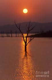 Lake Kariba Zimbabwe By Craig Lovell In 2021 Africa Travel Beautiful Nature Beautiful Places