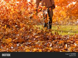 We did not find results for: Leaf Blower Action Image Photo Free Trial Bigstock