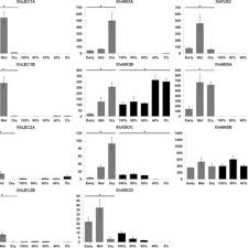 Image result for Xerophyta humilis