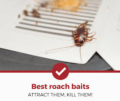 Maxforce fc magnum roach killer bait gel. Top 5 Best Roach Baits To Buy 2021 Review Pest Strategies