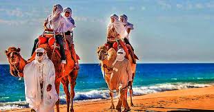 Camel riding tour in cabo san lucas. Camel Tour Cabo San Lucas And Jeep Safari Los Cabos Tours Los Cabos