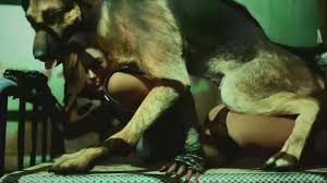 Bethesda Softworks Dogmeat Bestiality 3d - Lewd.ninja