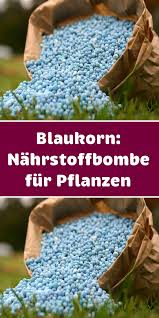 Sie Sind Klein Blau Und Regelrechte Nahrstoffbomben Fur Pflanzen Blaukorn Dunger Spaltet Seit Jahren Die Gartner Wel In 2020 Pflanzen Garten Pflanzen Blaukorn Dunger