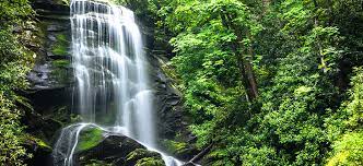 Workers in these sorts of environments are often more productive and happy. What S In An Environment Blogs Cdc