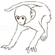 Pin On Ape Monkey Drawing