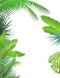 404 Not Found Jungle Illustration Jungle Border Leaf Border