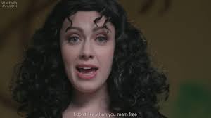 Look What You Made Me Do (Tangled Style)