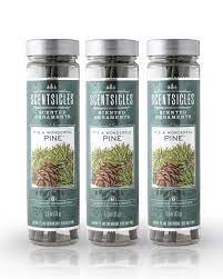 Fill Your Home With The Stimulating Scent Of Treetopia S Scentsicles Perfect Pine Tha Christmas Tree Sale Artificial Christmas Tree Christmas Tree Ornaments