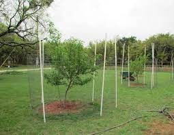 Maybe you would like to learn more about one of these? Keeping The Deer Away Patchwork Times By Judy Laquidara