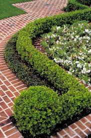 Houston Southern Estate Traditional Landscape Walkway Landscaping Landscape Design
