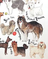 Dog Art Print Dog Wall Art Dog Poster Dog Breeds Chart A To Z Of Dog Breeds Dog Owner Gift Dog Gift For Owners Dog Grooming Sign