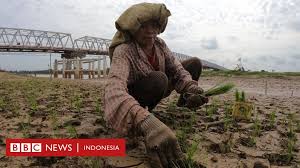 Pengertian negara menurut para ahli, ciri dan contoh negara, unsur negara, tujuan negara adalah materi yang akan dibahas. Bank Dunia Apa Untung Rugi Indonesia Naik Kelas Jadi Negara Berpenghasilan Menengah Ke Atas Bbc News Indonesia