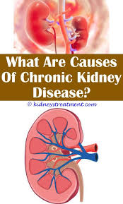 Chronic Renal Failure Polycystic Kidney Disease Chronic Kidney Disease Kidney Disease