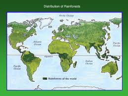 However, tropical forests are extensive, making up just under half the world's forests. Tropical Rainforests Climate Distribution Of Rainforest Ppt Download