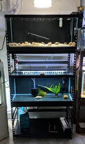 Aquarium Rack For Two 40 Gallon Breeders Odin Aquatics