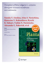 in this figure drawing of a plant cell showing a large vacuole. Pdf Tonoplast Of Beta Vulgaris L Contains Detergent Resistant Membrane Microdomains