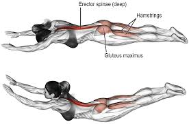 Comment Effectuer Le Superman Pour Muscles Les Lombaires Entrainement Superman Musculation Dos Musculation