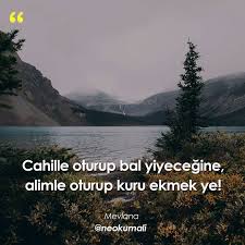 Cahille Oturup Bal Yiyecegine Alimle Oturup Kuru Ekmek Ye Mevlana Kaynak Instagram Neokumali S Cool Words Good Quotes For Instagram Words Worth