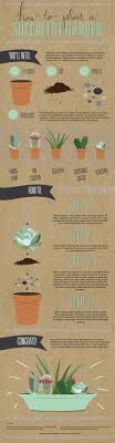 Cacti and succulents thrive better in soil that drains easily and doesn't retain a lot of water. If Your Track Record Is Truly Horrible When It Comes To Keeping Plants Alive Stick To Succulents This Guide Will Show You Ho Plants Succulents Diy Succulents