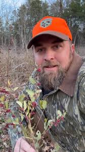 We need to do our part and make sure Habitat for the Hatch is effective in  creating nesting and brood habitats which helps the younger turkeys  survive! #nwtfpartner #habitatforthehatch @official_nwtf