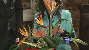 We did not find results for: Unique Valentine Floral Ideas From Jp Parker Flowers Wish Tv Indianapolis News Indiana Weather Indiana Traffic