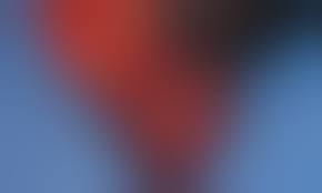 Диагностика дирофиляриоза у животных