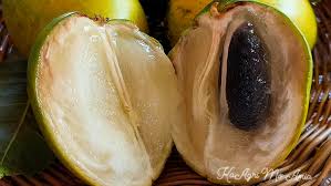 Image result for Pouteria