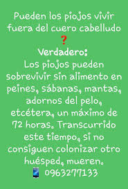 Pin By Katty Argudo Maldonado On Piojos Picabu Tratamiento De Pediculosis Periodic Table