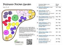 Plan A Pollinator Pocket Garden Pocket Garden Pollinator Garden Pollinator Garden Design