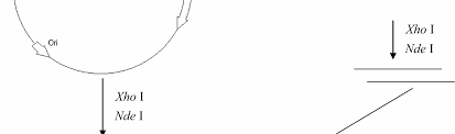 The site owner hides the web page description. 2
