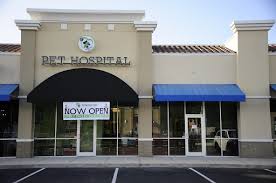 Maybe you would like to learn more about one of these? Animal Hospital Companion Care Pet Hospital Reviews And Photos