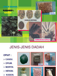 We did not find results for: Dadah